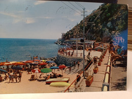 2  Cartoline Catanzaro Lido Di Copanello Anni 60 , Grillone - Catanzaro