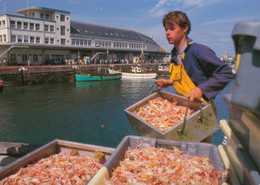 CPM-29-LE GUILVINEC -Pêcheur De Langoustines- Le Port Les Bateaux TOP - Flamme Postale "GUILVINEC"* Scan Recto/verso - Guilvinec