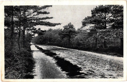 Epe   Landweg Bij De Hertekolk - Epe