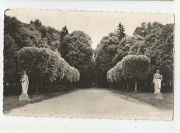 55 Meuse Ligny En Barrois Le Parc Statues Femmes Athéna Entre La Route Ed Gourzon - Ligny En Barrois