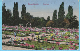 Sangerhausen-Sachsen Anhalt-1915-Rosarium-Feldpostkarte-Feldpost-Cachet Magdeburg---> Niederkontz Bei Sierck - Sangerhausen