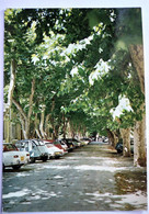 CPM Marseille (13) - 26 Boulevard De Louvain - Sortie Sur Le Prado - BE - Castellane, Prado, Menpenti, Rouet