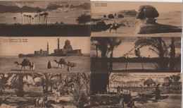 Caire - Cairo - Lot De 8 Cartes Neuves 15x6 Cm - Caïro