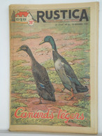 RUSTICA - JARDINAGE CHASSE PECHE BASSE-COUR ELEVAGE - N°51 De 1954 - CANARDS LEGERS - Jagen En Vissen