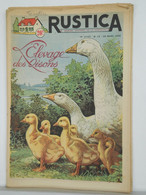 RUSTICA - JARDINAGE CHASSE PECHE BASSE-COUR ELEVAGE - N°12 De 1955 - ELEVAGE OIES - Jagen En Vissen