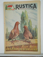 RUSTICA - JARDINAGE CHASSE PECHE BASSE-COUR ELEVAGE - N°14 De 1955 - PIGEONS VOYAGEURS - Jagen En Vissen