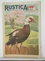 RUSTICA - JARDINAGE CHASSE PECHE BASSE-COUR ELEVAGE - N°28 De 1955 - CANARD DE BARBARIE - Garden