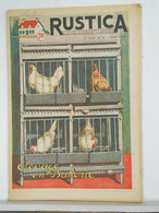 RUSTICA - JARDINAGE CHASSE PECHE BASSE-COUR ELEVAGE - N°32 De 1955 - ELEVAGE POULE - Jardinería