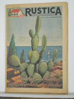 RUSTICA - JARDINAGE CHASSE PECHE BASSE-COUR ELEVAGE - N°50 De 1955 - CACTUS - Jardinage