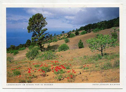 AK 067060 SPAIN - El Hierro - Landschaft Im Süden - Hierro