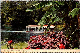 Florida Silver Springs Glass Bottom Boat - Silver Springs