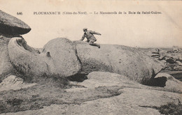 (NO)22 COTES D'  ARMOR PLOUMANACH  Le Mammouth De La Baie De ST GUIREC - Ploumanac'h