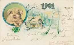 Glitzer Lithographie Glückwunsch Neujahr, Jahreszahl 1901, Schwein, Kleeblatt, Winterlandschaft - New Year