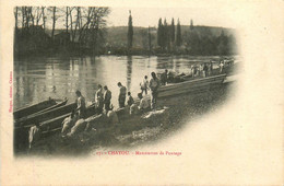 Chatou * Les Manoeuvres De Pontage * Militaires Régiment Du Génie * Militaria - Chatou