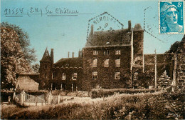 Paley * Vue Sur Le Château Du Village - Sonstige & Ohne Zuordnung