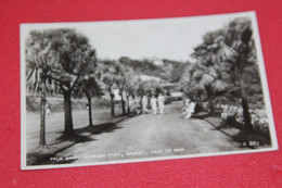 IOM Ramsey Mooragh Park Palm Walk 1956 - Isle Of Man