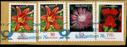 Bund 2019/20,Michel# 3483, 3474, 3516 O Blumen  Auf Papier - Used Stamps