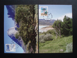 GREENLAND 2011 EUROPA CEPT SET OF 2 MAXIMUM CARDS GRONLAND GROENLAND - Maximumkarten (MC)