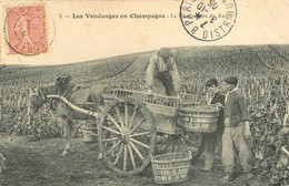 080722 MARNE 51 Les Vendanges En Champagne Le Chargement Du Raisin Vin Vigne Attelage Alcool Viticulture Oenologie - Other & Unclassified