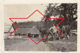 Photo Juin 1917 NUSZCZE (Nyshche, Shtetl, Zboriv, Ternopil Oblast, Galizien) - "Stabsarzt Scholvin" (A241, Ww1, Wk 1) - Ukraine