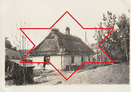 Photo Juin 1917 NUSZCZE (Nyshche, Shtetl, Zboriv, Ternopil Oblast, Galizien) - Quartier Allemand, Cigogne (A241, Ww1) - Ukraine