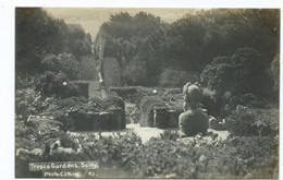 Postcard Rp Scilly Isles G.j.king Tresco Gardens Rp 43. Original - Scilly Isles