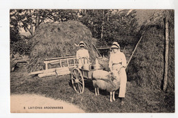 Laitières Ardennaises - Attelage De Mouton  *Edit. Hôtel De La Salm F Gengoux*(Trois-Ponts) - Attelages