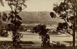 Australia, SA, CARMINOW, Panorama, RPPC Postcard - Altri & Non Classificati