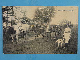 Attelage Ardennais (Marcovici) - Farmers