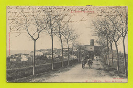 31 VERFEIL N°123 De Labouche Route De LAVAUR VOIR ZOOM Attelage Boeufs VOIR DOS Non Séparé En 1903 Cliché Trantoul - Verfeil