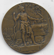 Médaille   Union Des Sociétés De Tir De France  GRENOBLE 1911 - Professionnels / De Société