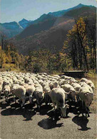Animaux - Moutons - Pyrénées - Retour Du Troupeau Dans La Vallée Du Lys - CPM - Voir Scans Recto-Verso - Other & Unclassified