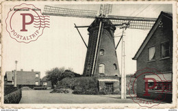 MOLEN WINDMOLEN MOULIN A VENT MUHLE WINDMILL  RIJCKEVORSEL RIJKEVORSEL ANVERS ANTWERPEN - Rijkevorsel