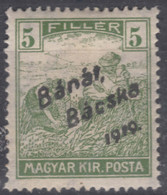 Hungary Banat Bacska 1919 Mi#8 Mint Hinged - Banat-Bacska