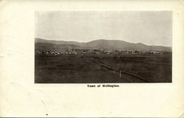 Australia, SA, WELLINGTON, Panorama (1910s) Postcard - Autres & Non Classés