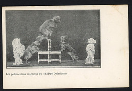 Les Petits Chiens Mignons Du Théâtre Delafloure - Animaux Savants - Cirque - Circus - Dog - Voir Scans - Circo