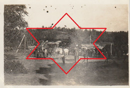 Photo Juin 1917 NUSZCZE (Nyshche, Shtetl, Zboriv, Ternopil Oblast, Galizien) - L'appel Des Chevaux (A241, Ww1, Wk 1) - Ukraine