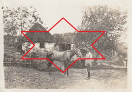 Photo Juin 1917 NUSZCZE (Nyshche, Shtetl, Zboriv, Ternopil Oblast, Galizien) - "Hecht Avec Pascha" (A241, Ww1, Wk 1) - Ukraine