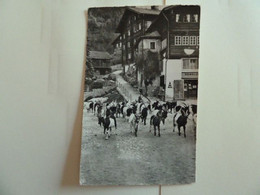 Z36 - VS - Fiesch - Heimkehr Der Ziegen - Joli Cachet De Saas-Fee 1961 - Fiesch