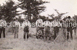 HARVESTERS NICE OLD B/W POSTCARD FARMERS FARMING INTEREST FARM MACHINERY - Attelages