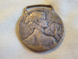 Petite Médaille  Avec Béliere Pour Ruban / Flore & Pomone /Fin XIXéme-début XXème Siècle  BIJ127 - Pendentifs