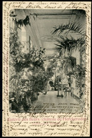 CPA - Carte Postale - Belgique - Hasselt - Galerie Des Fleurs - Château De Herckerode - 1904  (CP20806) - Hasselt