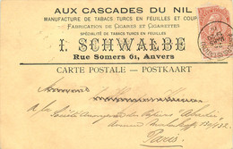 Belgique - Anvers - Carte Postale - Aux Cascades Du Nil - Tabacs - Cigares - Antwerpen