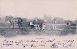 Aux Labours, Attelage De 2 Boeufs Et D'un Cheval (201) - Attelages