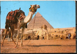 EGYPTE. Carte Postale écrite. The Great Sphinx And The Pyramid Of Kephre. - Sphinx