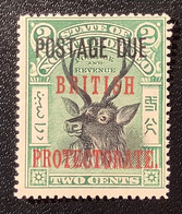 North Borneo 1902 POSTAGE DUE STAMP SG D50=110£, 2c Perf.16 BRITISH PROTECTORATE Unused (*) VF  (stag Malaysia Malaya - Noord Borneo (...-1963)