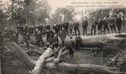 Bonsecours   Le Chéne Raoul Abattu Groupe D'élèves Des Frères Maristes En Promenade Voyagé En 1907 - Péruwelz