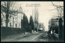 CPA - Carte Postale - Belgique - Watermael - Rue Henri Struelens - 1910 (CP20835OK) - Watermael-Boitsfort - Watermaal-Bosvoorde