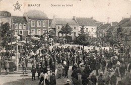 Hannut  Marché Au Bétail Super Animée  Cachet Militaire Voyagé En 1915 - Hannuit