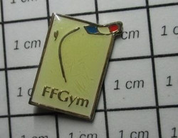 1322 Pin's Pins / Beau Et Rare / THEME : SPORTS / FEDERATION FRANCAISE DE GYM - Gymnastique